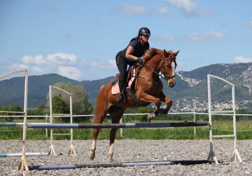 a-lure-a-cheval-saut-obstacle-lure